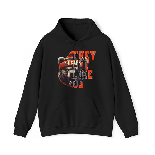Bear They Not Like Us Hoodie