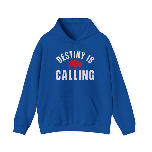 Destiny Is Calling Buffalo Hoodie