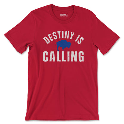 Vintage Distressed Destiny Is Calling Buffalo T-Shirt